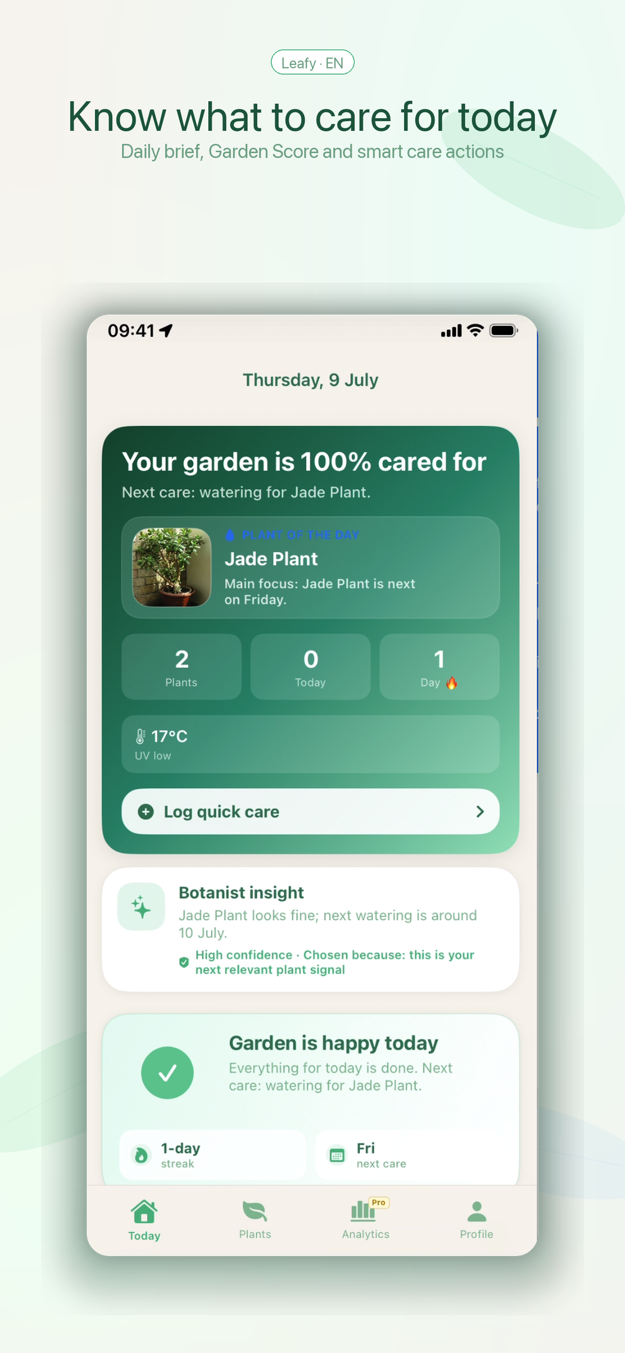 Leafy daily garden brief screen